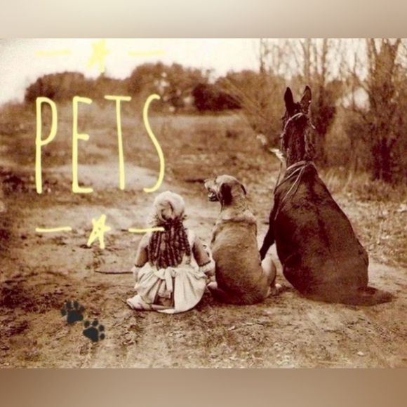 Shop 👉 ALL 👈 Categories ✅ Womens (Jewelry too!); Mens; Home; Kids; Music; Pets - Picture 7 of 14